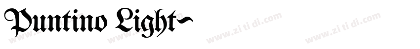 Puntino Light字体转换